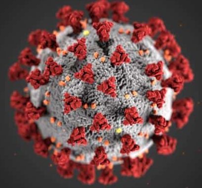 Coronavirus 3D image
