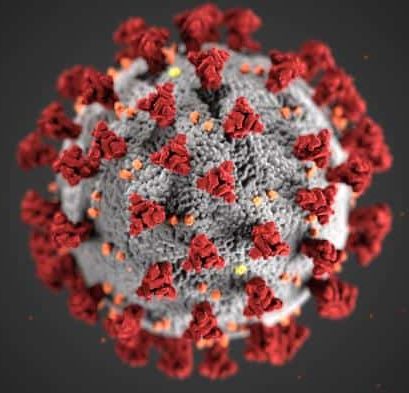 Coronavirus 3D image